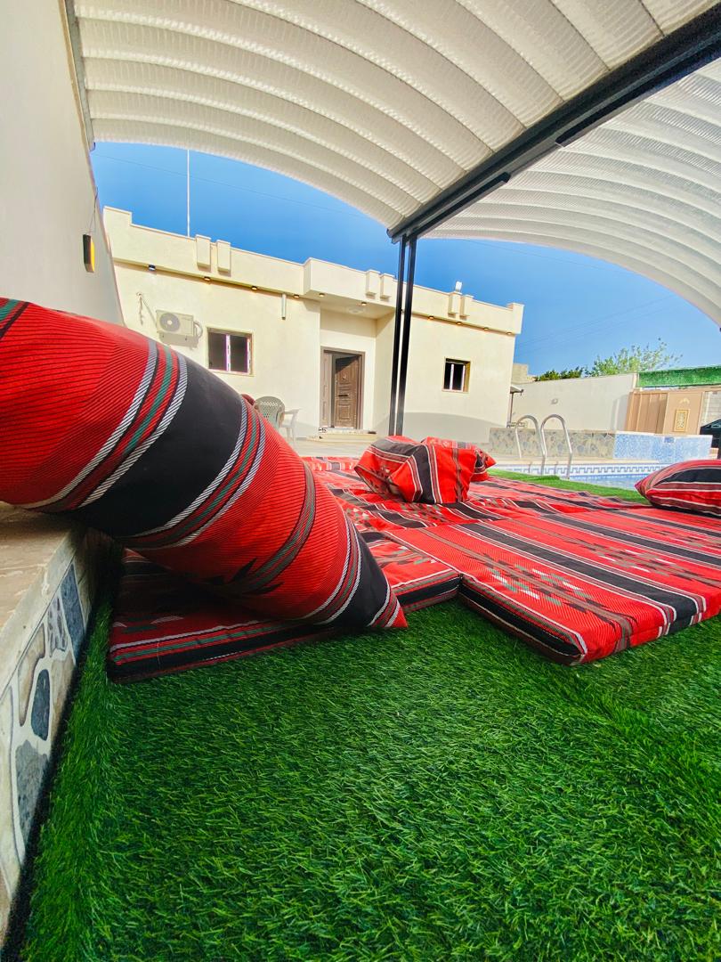 صورة الشقة