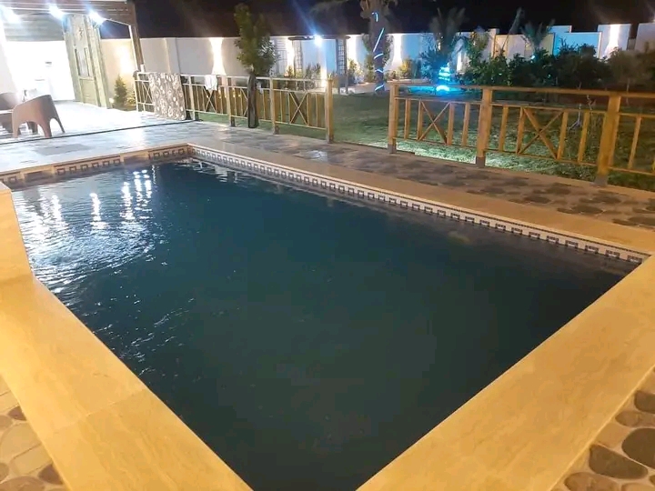 صورة الشقة