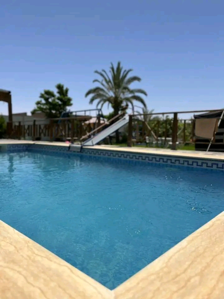صورة الشقة