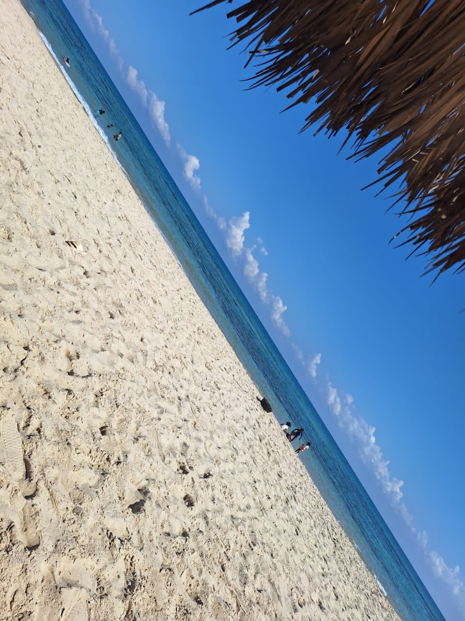 صورة الشقة