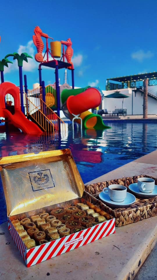 صورة الشقة