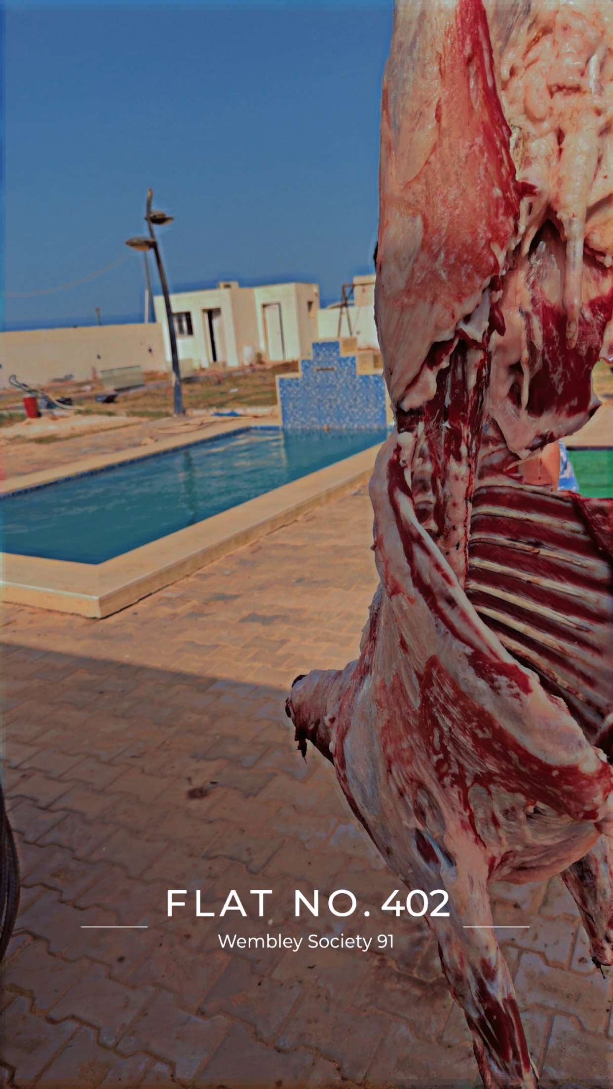 صورة الشقة