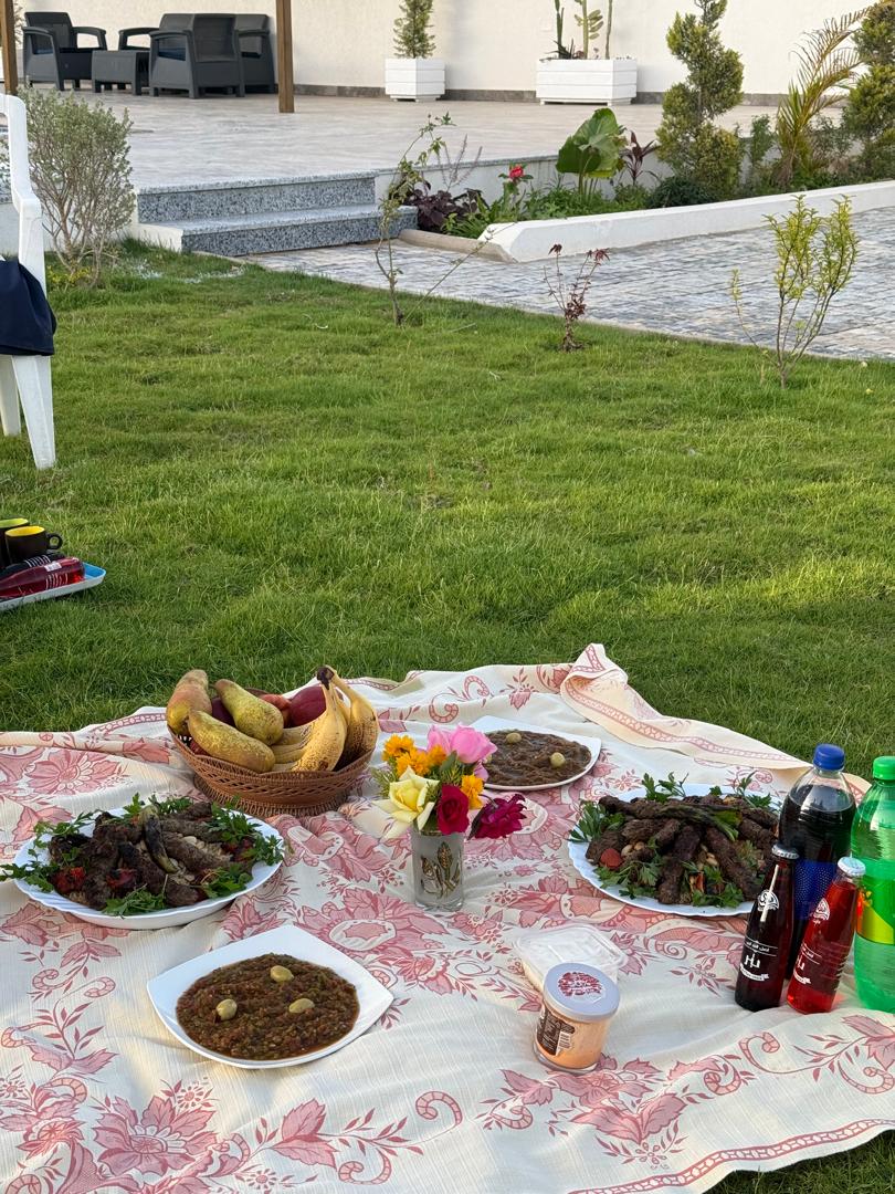 صورة الشقة