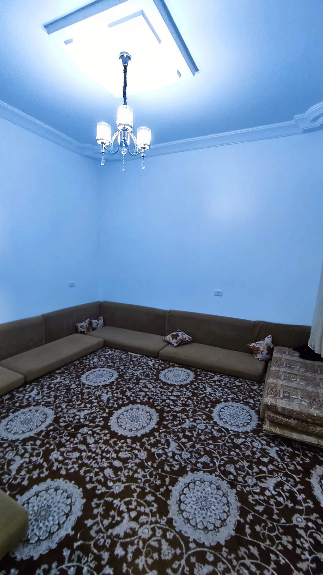 صورة الشقة
