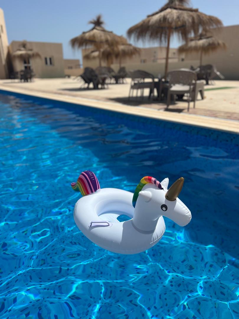 صورة الشقة
