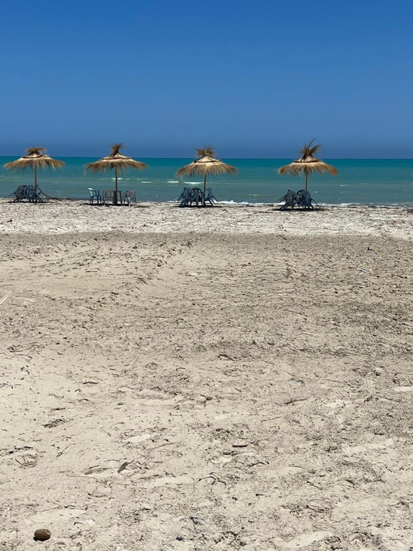 صورة الشقة