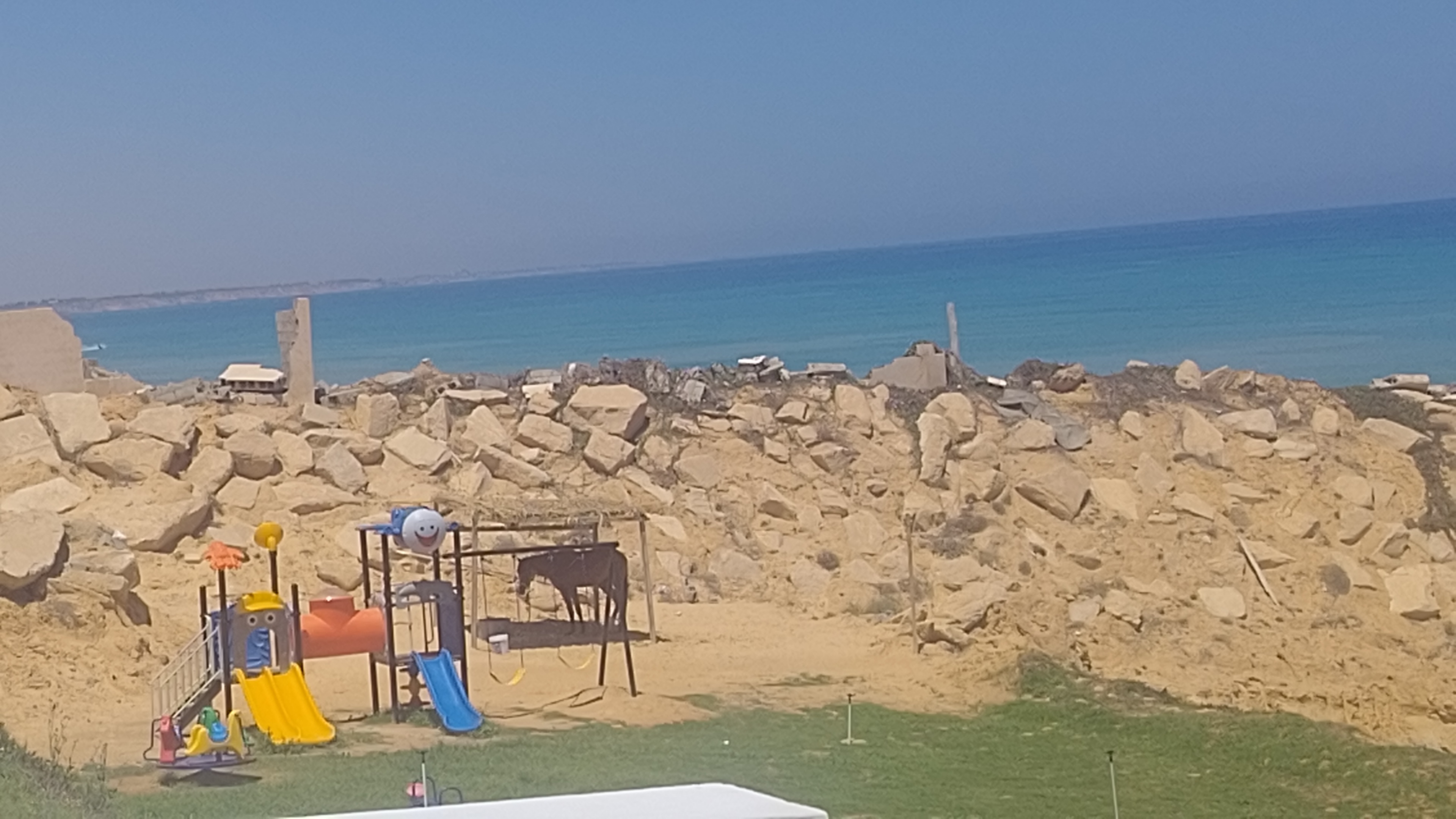 صورة الشقة