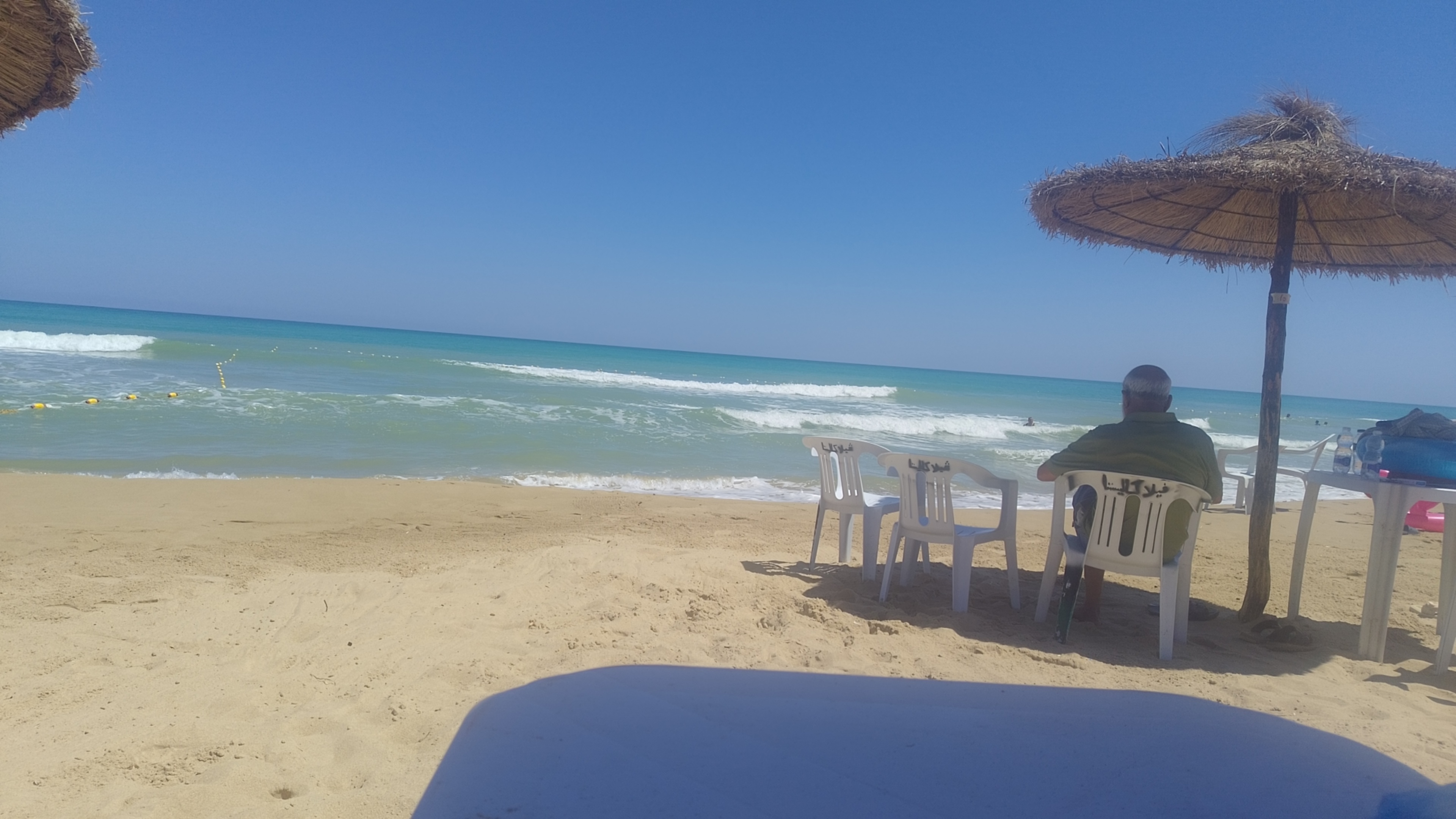 صورة الشقة
